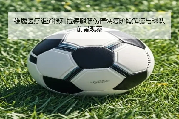 img_1780180632645_992_1_619.jpg